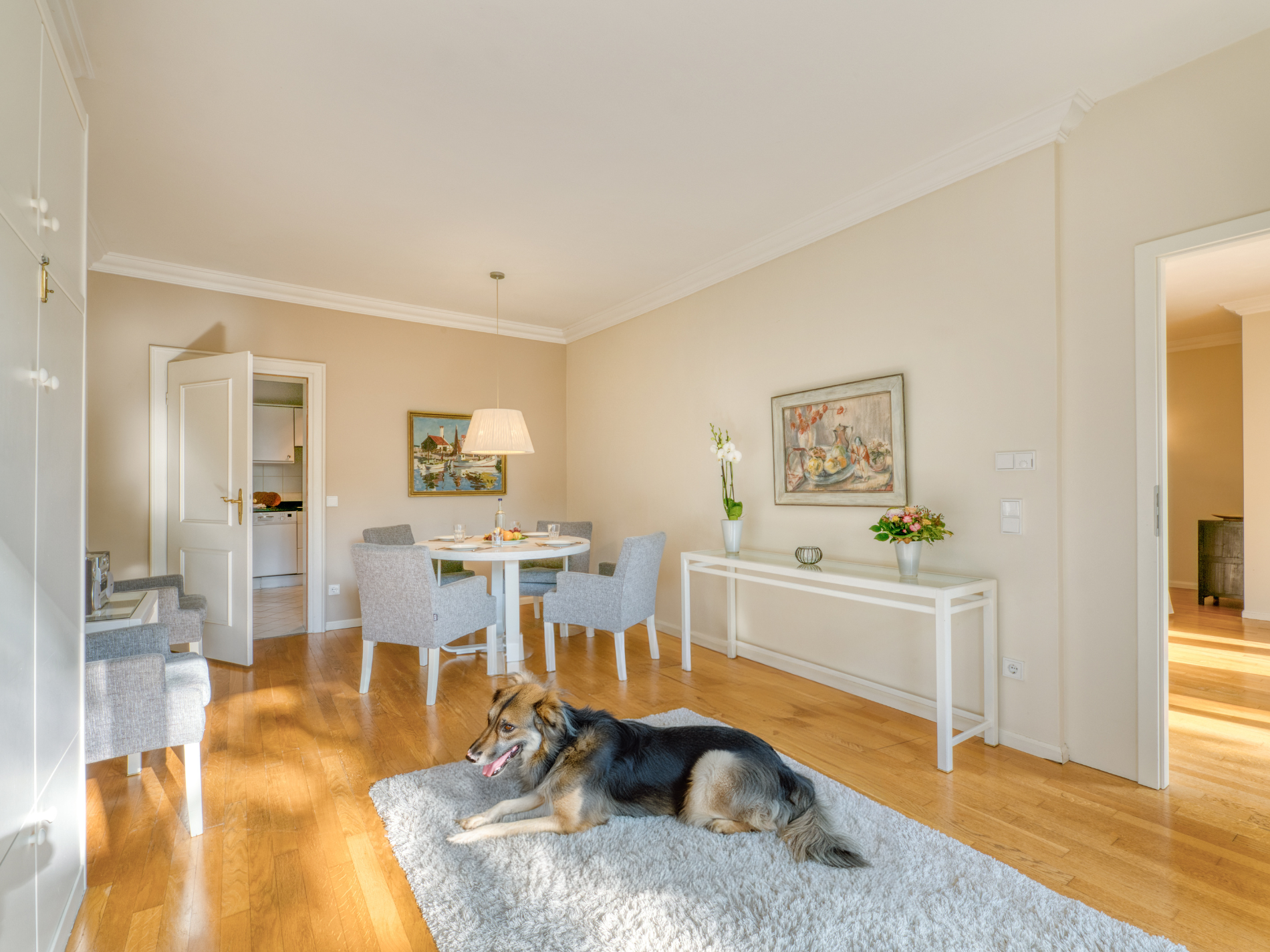 Hund im Appartement Hotel Timmendorf